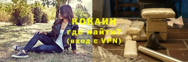 ПСИЛОЦИБИНОВЫЕ ГРИБЫ Верея