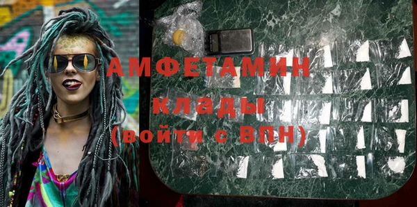 ПСИЛОЦИБИНОВЫЕ ГРИБЫ Верея