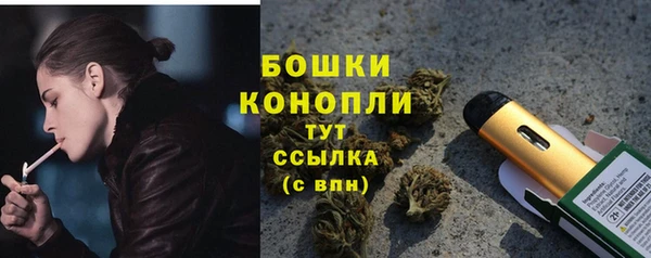 ПСИЛОЦИБИНОВЫЕ ГРИБЫ Верея