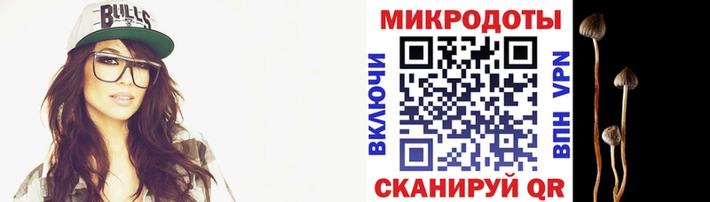 блэк спрут как войти  закладки  Фатеж  Псилоцибиновые грибы MAGIC MUSHROOMS 